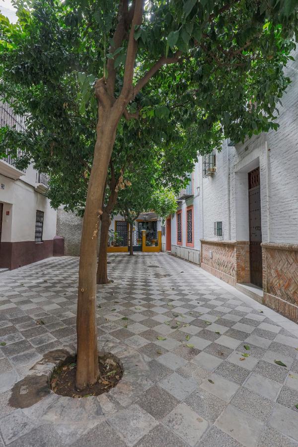 Historic Apartment In Santa Cruz Seville Exterior photo